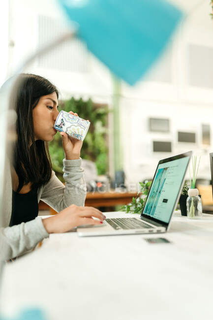 Side view of female buyer drinking beverage while sitting at table with laptop and choosing goods during online shopping — Stock Photo