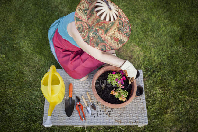 Top view of anonymous mature woman gardener, transfers a plant to a large flowerpot in her home garden — Stock Photo