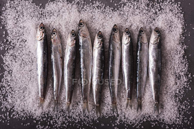 Vue du dessus de petits anchois servis en rangée sur du sel sur une table noire — Photo de stock