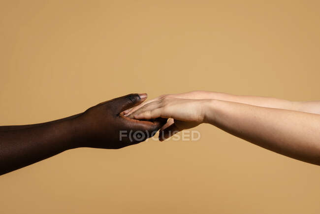 Vue latérale de cultures femelles multiethniques méconnaissables tenant la main sur fond beige en studio — Photo de stock