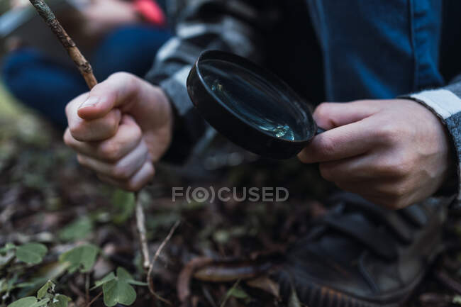 Ritagliato bambino irriconoscibile con lente d'ingrandimento esaminando tronco d'albero mentre si appoggia in avanti durante l'escursione nei boschi — Foto stock