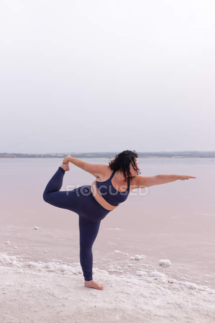 Vista lateral de mujer con curvas en ropa deportiva balanceándose en Natarajasana a orillas del estanque rosa y practicando yoga en verano - foto de stock