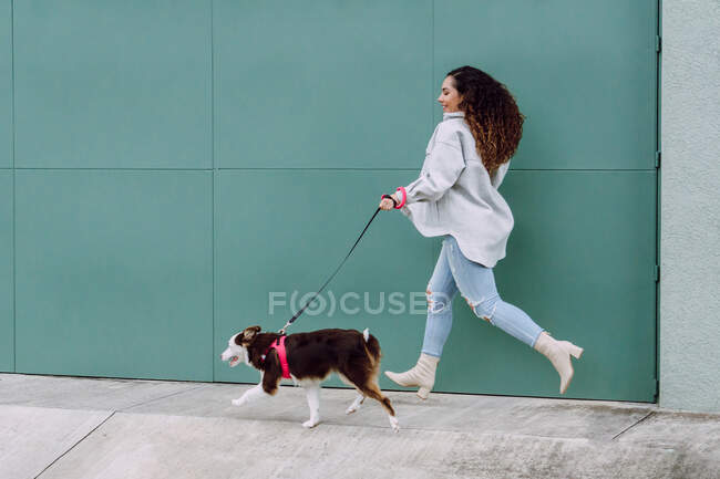 Vista lateral de la propietaria corriendo con el perro Border Collie con correa mientras se divierte paseando por la ciudad - foto de stock