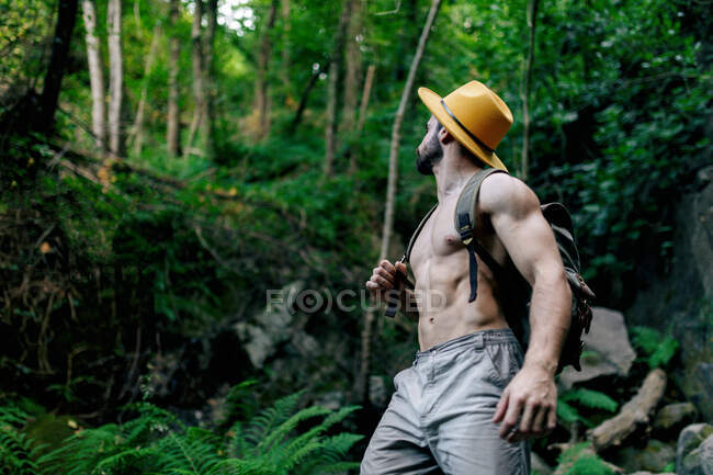 Знизу підійде безсорочний чоловічий мандрівник з рюкзаком і в капелюсі, що стоїть в скелястих лісах і дивиться в сторону — стокове фото