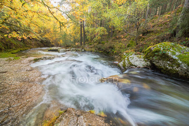 Vista panorâmica do monte com rio com fluidos de água espumosos sobre pedras entre árvores de outono em Lozoya, Madri, Espanha. — Fotografia de Stock