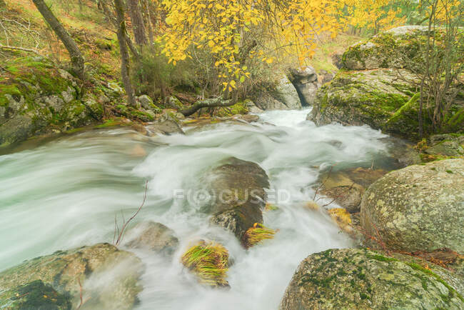 Сценічний вид на гору з річкою з піною на каменях між осінніми деревами в Лозої (Мадрид, Іспанія).. — стокове фото