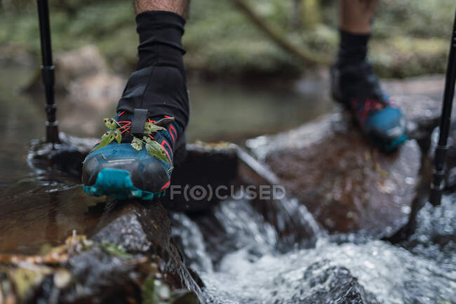Crop unrecognizable male hiker in trekking boots and with poles crossing river while stepping on wet rocks in forest — Stock Photo