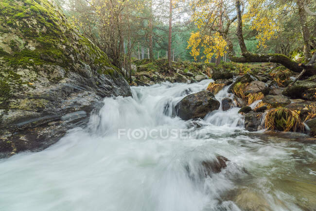 Pittoresca veduta della cascata con fluido d'acqua schiumoso tra massi con muschio e alberi dorati in autunno — Foto stock