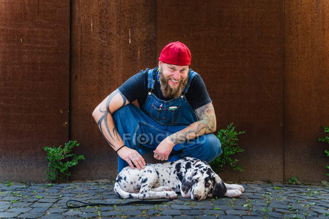 Hombre barbudo feliz con tatuajes con denim en general y gorra y sentado en adoquín pavimento con lindo cachorro manchado Gran Danés - foto de stock