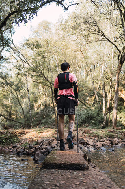 Visão traseira do caminhante masculino anônimo com postes de trekking cruzando o rio na floresta — Fotografia de Stock