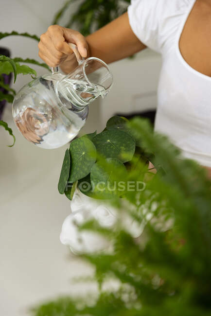 Cultivo hembra verter agua de la jarra en mono hocico en forma de olla con planta en el jardín de la casa - foto de stock