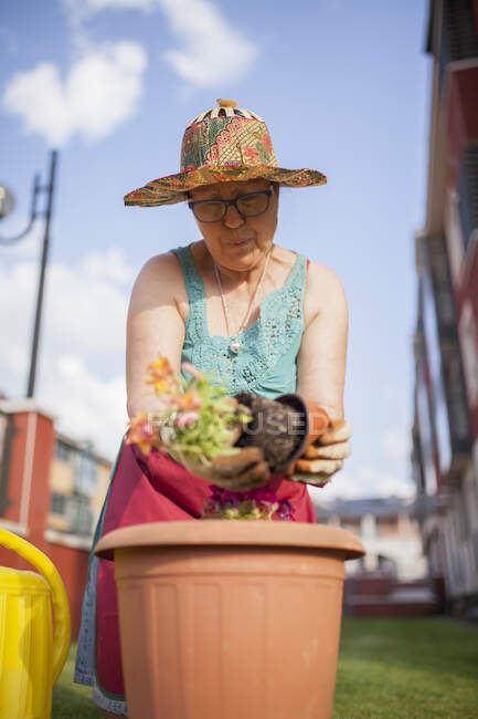Desde abajo mujer madura jardinero, transfiere una planta a una maceta grande en su jardín casero - foto de stock