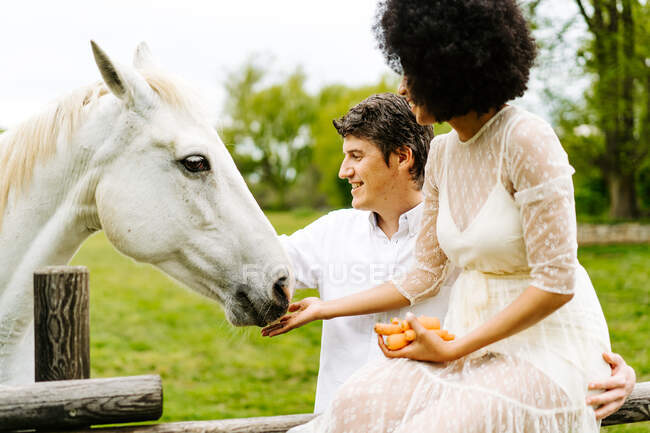 Homem abraçando mulher negra sentada na cerca de madeira e estendendo a mão em direção ao cavalo cinza pastando em paddock no campo no verão — Fotografia de Stock