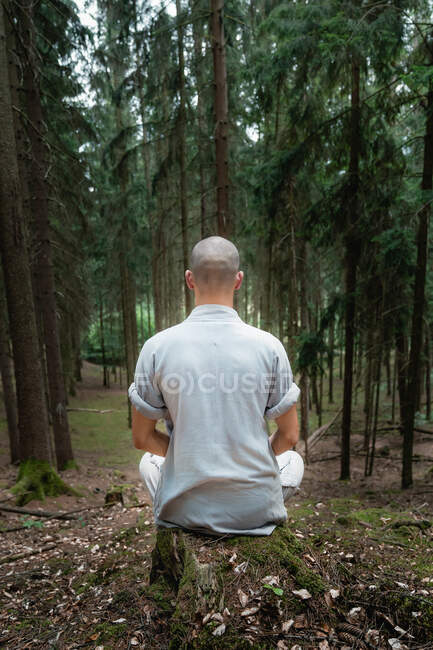 Vista posterior del hombre irreconocible con ropa tradicional sentado en la roca en pose de loto y meditando durante el entrenamiento de kung fu en el bosque - foto de stock