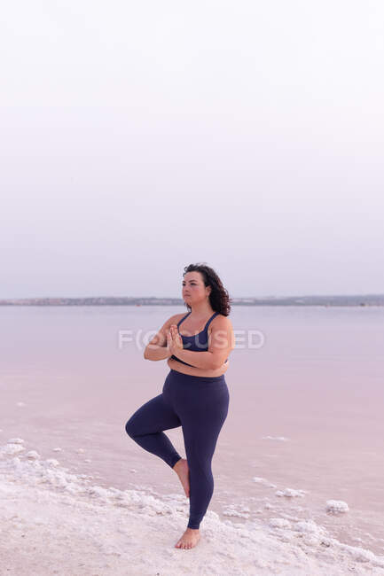 Femme courbée sereine en vêtements de sport debout à Vrksasana sur la rive du lac rose et pratiquant le yoga — Photo de stock