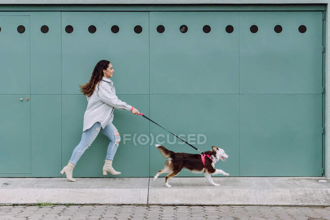 Vista lateral do proprietário feminino correndo com o cão Border Collie na trela enquanto se diverte durante o passeio na cidade — Fotografia de Stock
