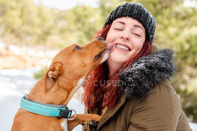 Adorable dog licking face of cheerful female owner in warm clothes during stroll in snowy winter forest — Stock Photo