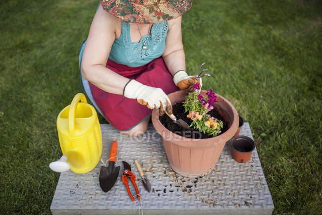 From above anonymous mature woman gardener, transfers a plant to a large flowerpot in her home garden — Stock Photo
