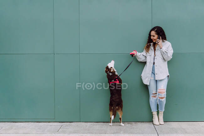 Cheerful female owner standing in street with obedient Border Collie dog on leash and speaking on mobile phone — Stock Photo
