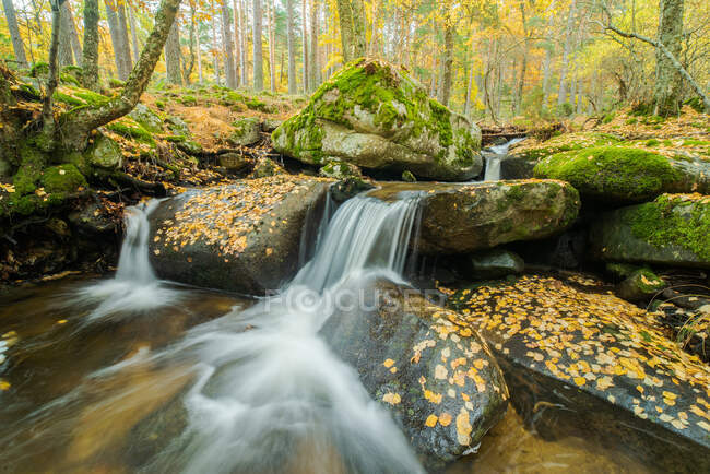 Vue pittoresque de la cascade avec de l'eau mousseuse entre les rochers avec de la mousse et des arbres dorés à l'automne — Photo de stock