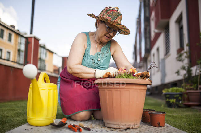 Знизу зріла жінка садівник переносить рослину до великого вазона в її домашньому саду — стокове фото
