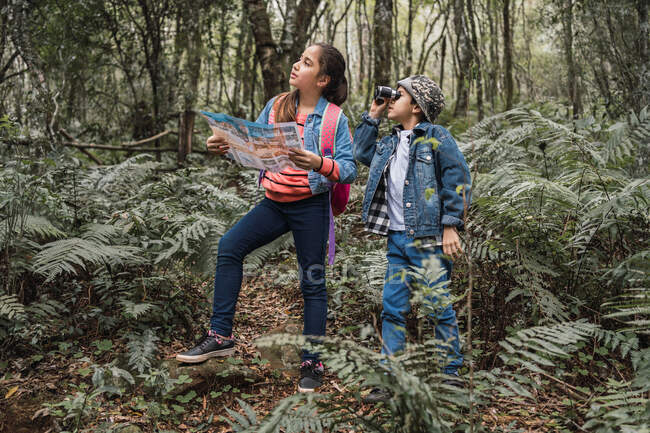 Етнічна дівчина з паперовим гідом, дивлячись на брата з біноклями серед рослин папороті в літньому лісі — стокове фото