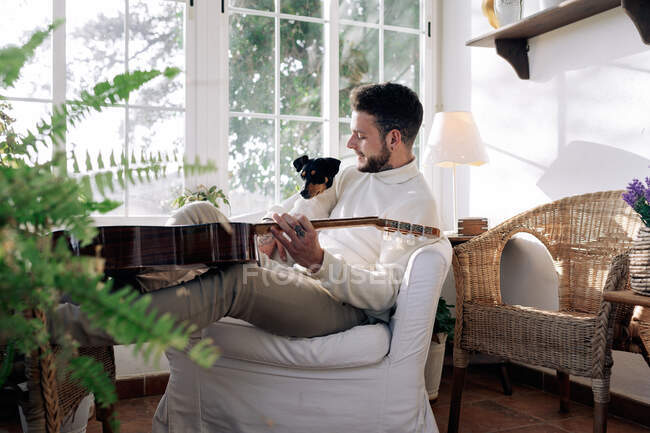 Споглядальний чоловічий музикант з татуюваннями і собакою над ним грає на класичній гітарі, сидячи в кріслі і дивлячись у вікно в будинку — стокове фото