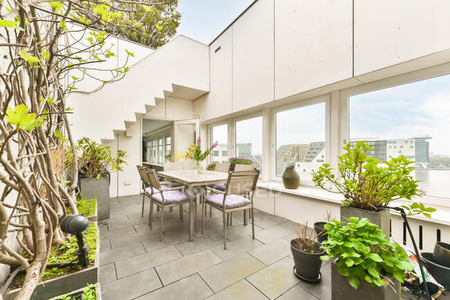 Table avec chaise placée sur une terrasse spacieuse avec des plantes vertes assorties dans des pots — Photo de stock