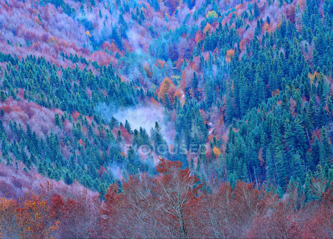 Herbstliche Landschaft Navarras — Stockfoto