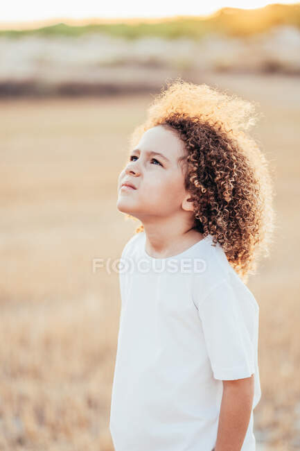 Seitenansicht des entzückenden ethnischen Kindes mit Afro-Frisur und in weißem T-Shirt, das im Sommer im Gegenlicht im getrockneten Feld wegschaut — Stockfoto