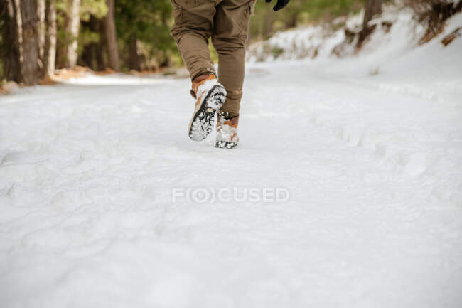 Обратный вид на урожай неузнаваемый самец, идущий по снежной дороге в зимних лесах — стоковое фото