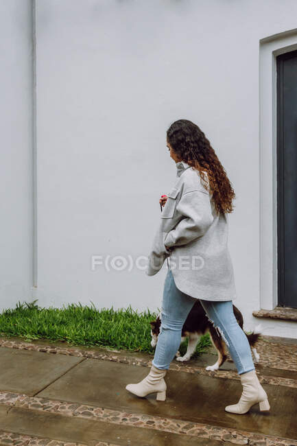 Vista lateral do proprietário fêmea andando com cão Border Collie ao longo do pavimento molhado na cidade — Fotografia de Stock