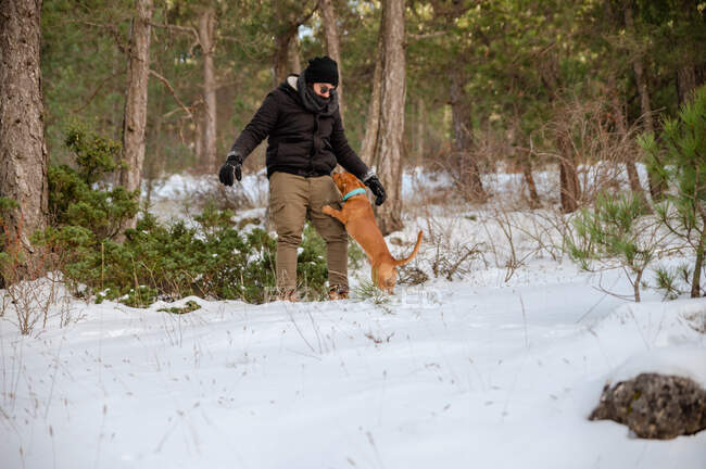 Propriétaire masculin en vêtements de plein air jouant avec chien énergique lors d'une promenade dans la forêt enneigée en hiver — Photo de stock