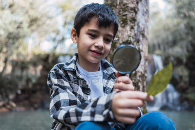 Сосредоточенный ребенок с зеленым листком растения смотрит через увеличительное стекло в лесу на размытом фоне — стоковое фото