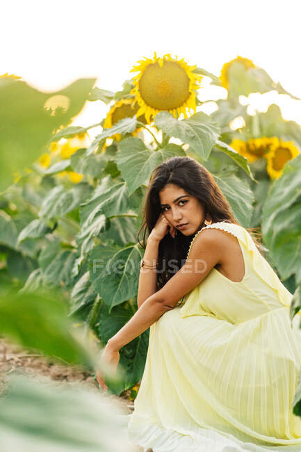 Side view of young long haired Hispanic brunette in boho style yellow dress hunkering down and looking at camera in summer field with blooming sunflowers — Stock Photo