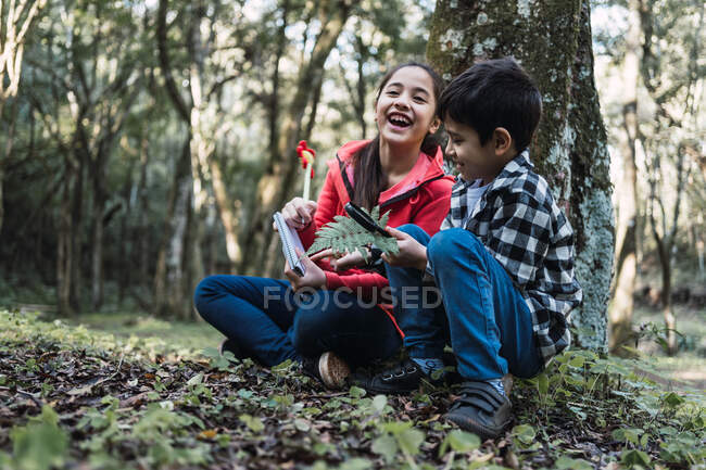Menina étnica alegre com caneta e bloco de notas contra irmão examinando folha de samambaia com lupa enquanto sentado em terra na floresta — Fotografia de Stock