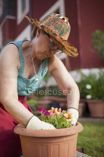 Vista lateral do jardineiro mulher madura, transfere uma planta para um grande vaso de flores em seu jardim em casa — Fotografia de Stock