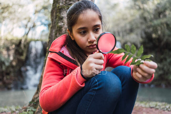 Focused child with green plant leaf looking through magnifying glass in woods on blurred background — Stock Photo