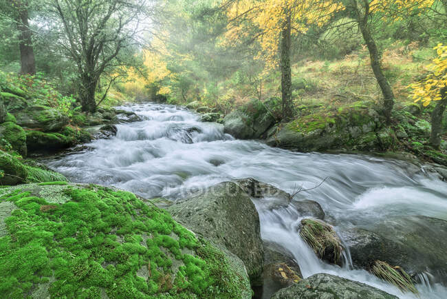 Сценічний вид на гору з річкою з піною на каменях між осінніми деревами в Лозої (Мадрид, Іспанія).. — стокове фото
