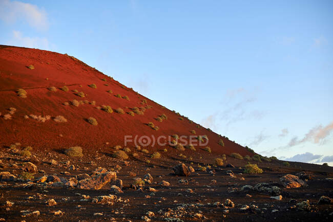 Rough rocks and dry shrubs located near hill slope against cloudy blue sky in morning in Fuerteventura, Spain — Stock Photo