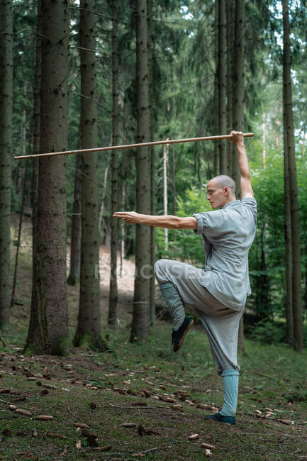 Homem careca de corpo inteiro em roupas tradicionais praticando com pau de bambu durante o treinamento de kung fu em florestas de coníferas — Fotografia de Stock