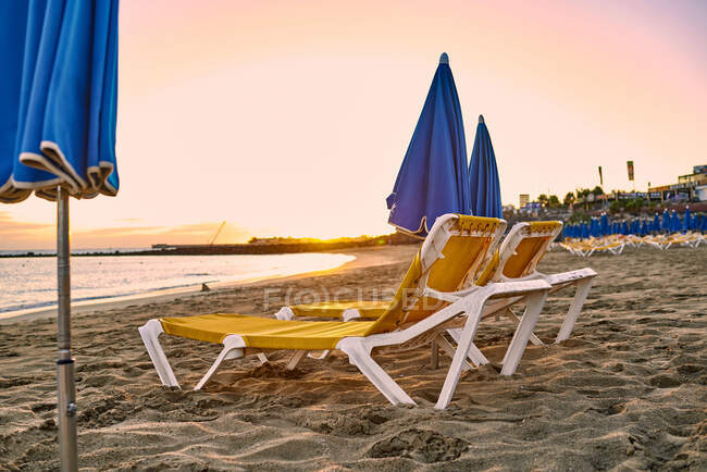 Sedie a sdraio gialle e ombrelloni blu situati sulla spiaggia sabbiosa vicino al mare al tramonto in località Fuerteventura, Spagna — Foto stock