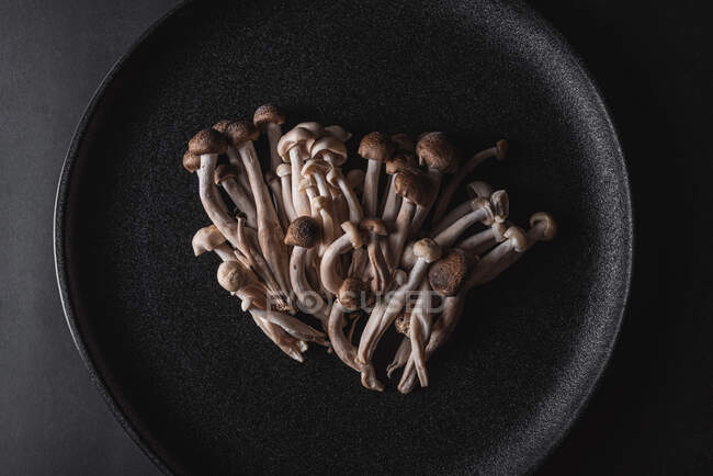 Draufsicht auf frische Shimeji-Pilze, serviert auf schwarzem Teller auf dunklem Tisch im Studio — Stockfoto