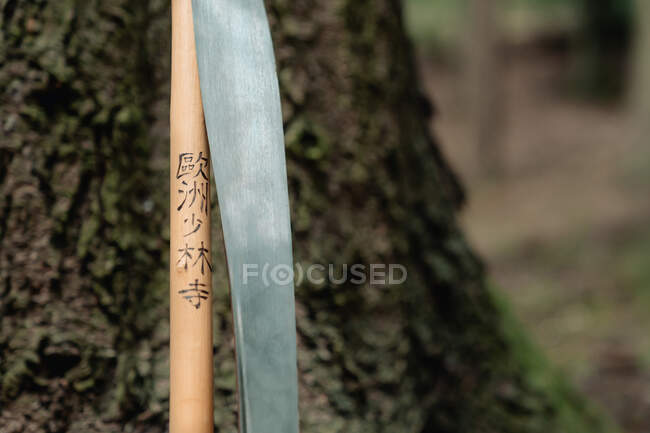 Kung fu sword and bamboo sticks with Chinese characters placed near tree in forest — Stock Photo