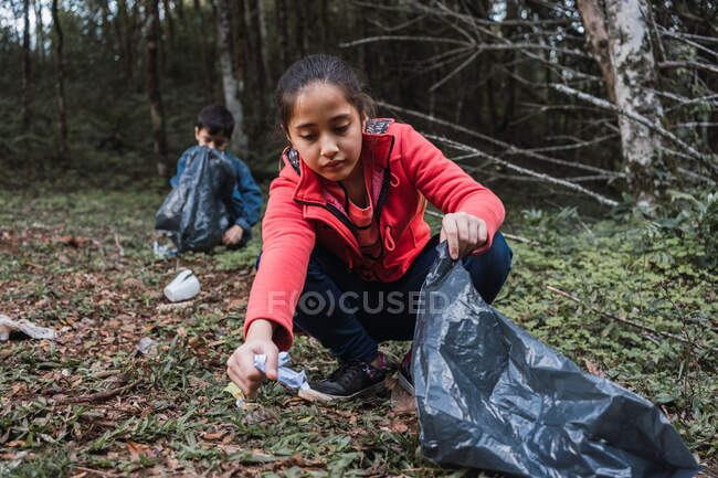 Voluntarios étnicos con bolsas de plástico recogiendo basura del terreno contra árboles en bosques de verano a la luz del día - foto de stock