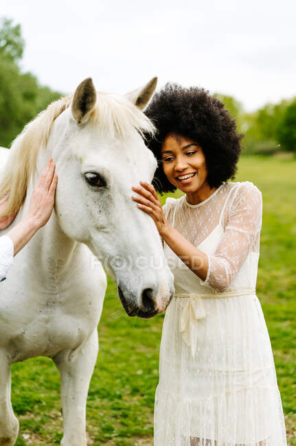 Femme afro-américaine souriante aux cheveux bouclés et en robe blanche caressant cheval gris avec copain de culture sur prairie à la campagne — Photo de stock