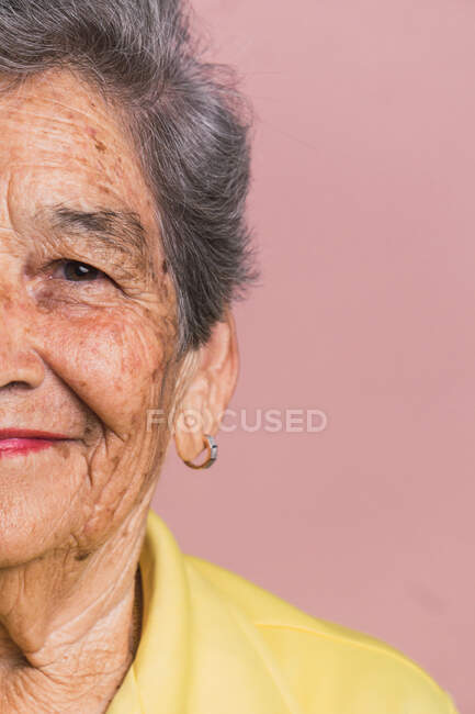 Cropped half face of elderly female with short gray hair and brown eyes looking at camera on pink background in studio — Stock Photo