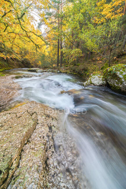 Vista panoramica del monte con fiume con fluidi d'acqua schiumosi su pietre tra alberi autunnali a Lozoya, Madrid, Spagna. — Foto stock