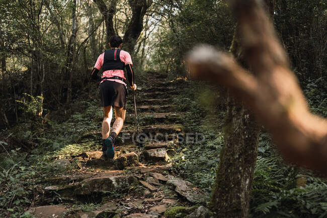 Back view of unrecognizable male traveler with trekking poles walking up old stone stairs in jungles — Stock Photo