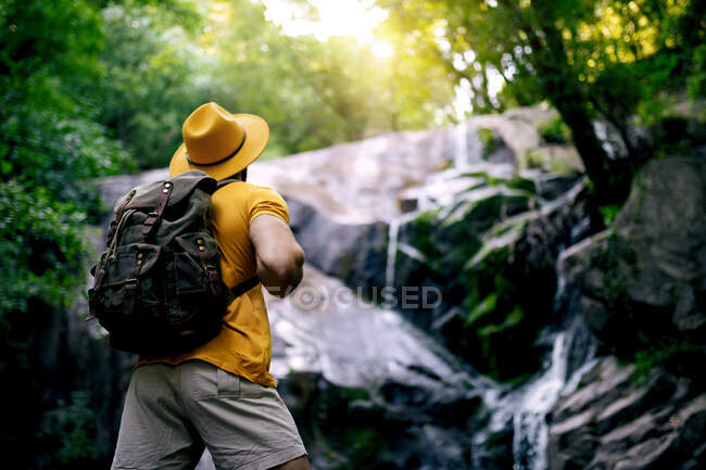 Вид ззаду на невпізнаваного чоловіка, що стоїть на валуні і захоплюючого водоспаду в лісі — стокове фото